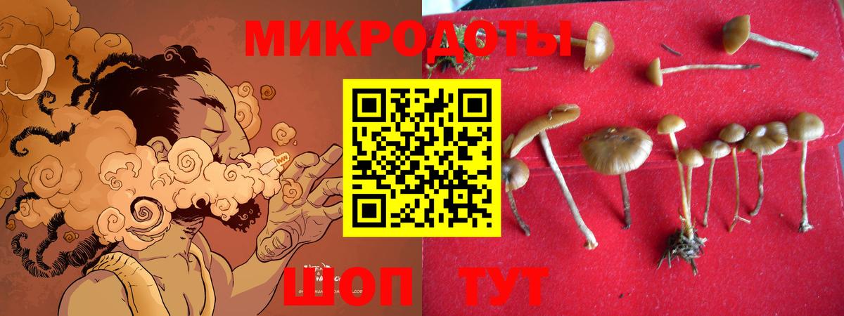 Галлюциногенные грибы ЛСД  Псилоцибиновые грибы GOLDEN TEACHER  Вход с VPN  Барабинск 